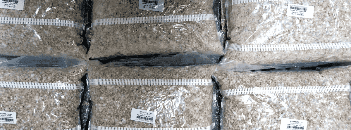 Mushroom Grain Master Spawn Bag  25kg  Lions Mane Hericium erinaceus   NO shipping to WA  Aussie Mushroom Supplies