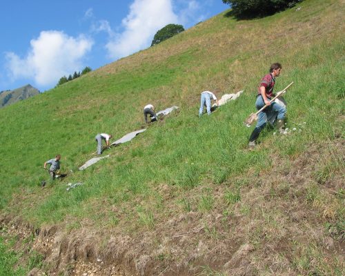 Some slopes are too steep for machines - Manual inoculation