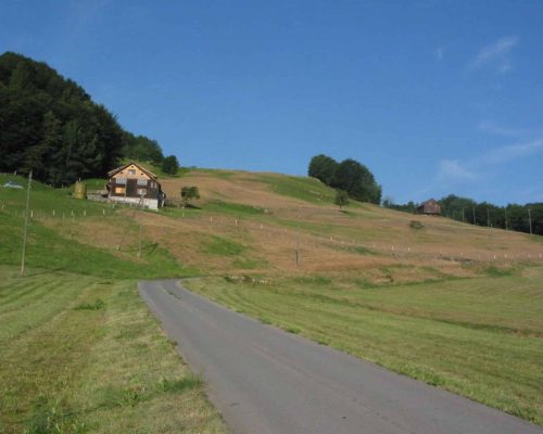 3_Damaged_grass_on_hillside-1