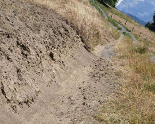 4_Damaged_grass_on_hillside-2