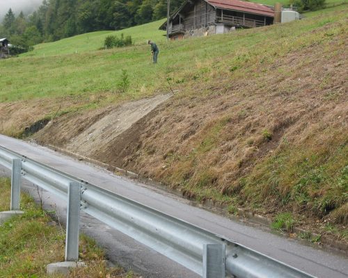 Damaged grass on roadside - 2