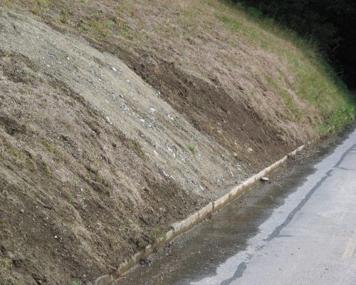 Damaged grass on roadside - 3